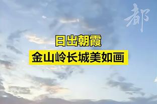 韦德国际大师截图3